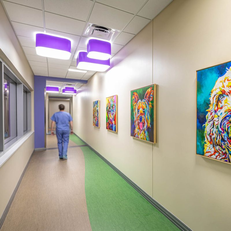 Colorful Pendant Lighting for Children's Hospital Hallway